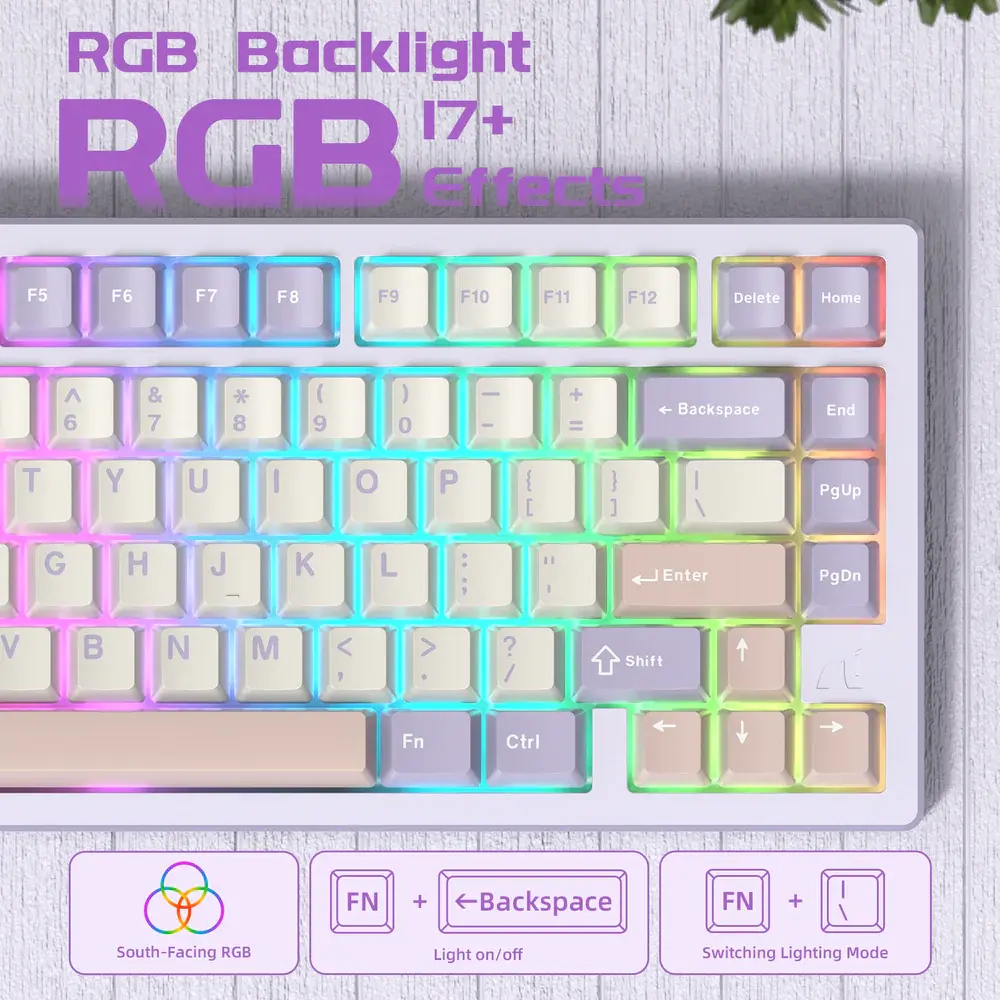 X75 (13).webp