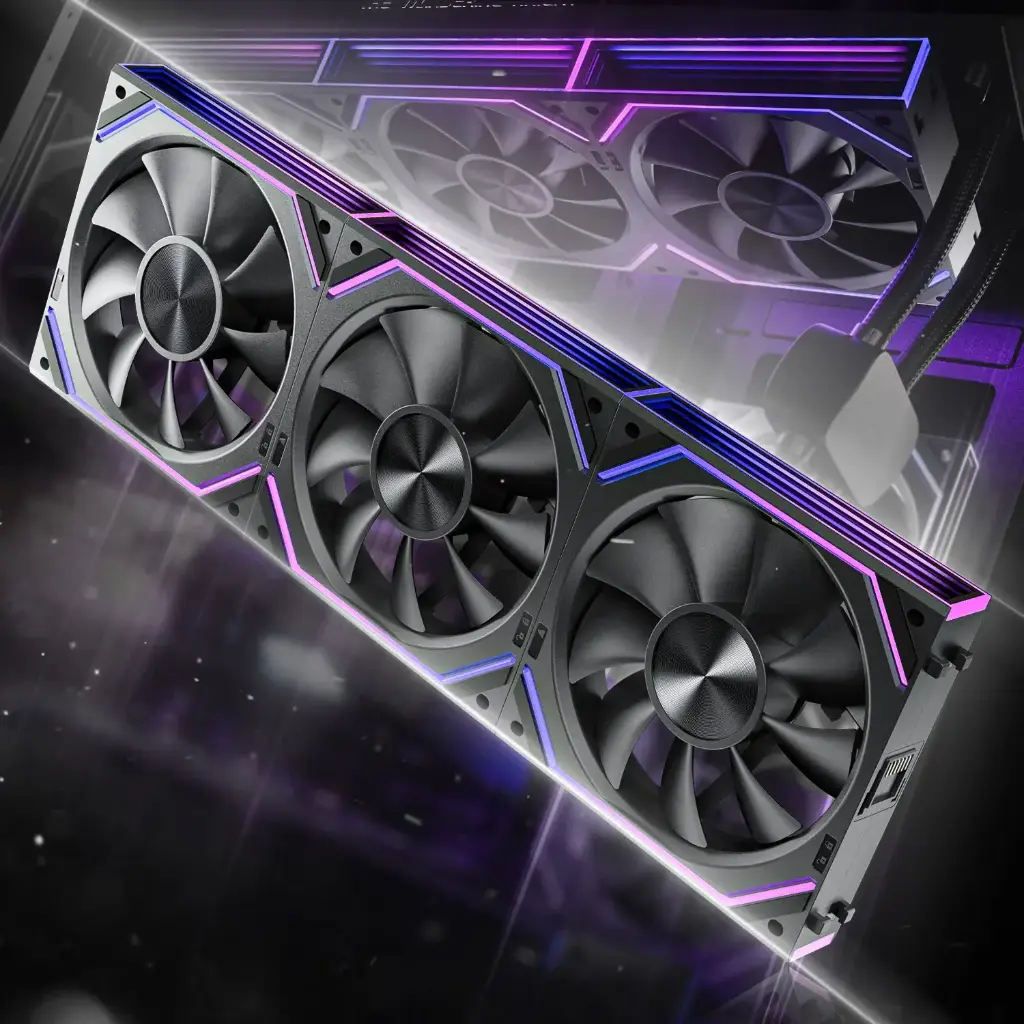 ASIAHORSE DAWN - 3PACK 